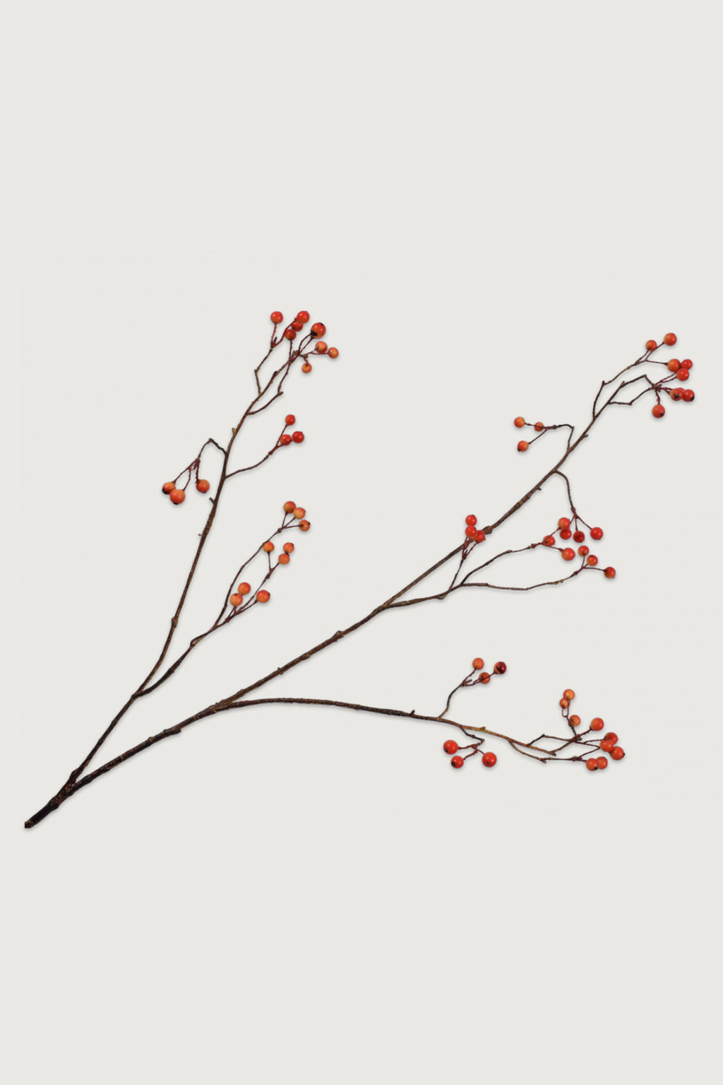 Decorative branches Silk-ka Berry orange small Celaine