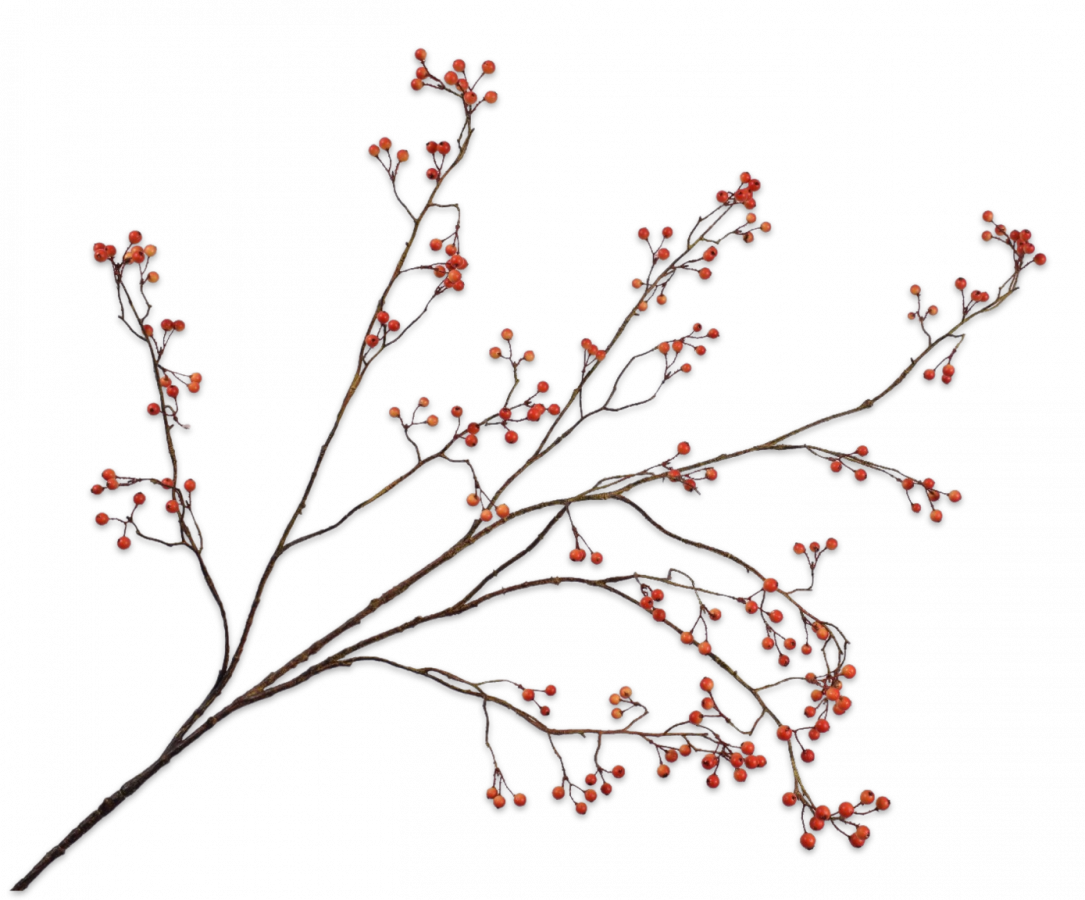 Silk-ka Flowers