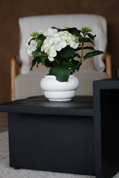 Vase set Marshmallow Macaron white Celaine