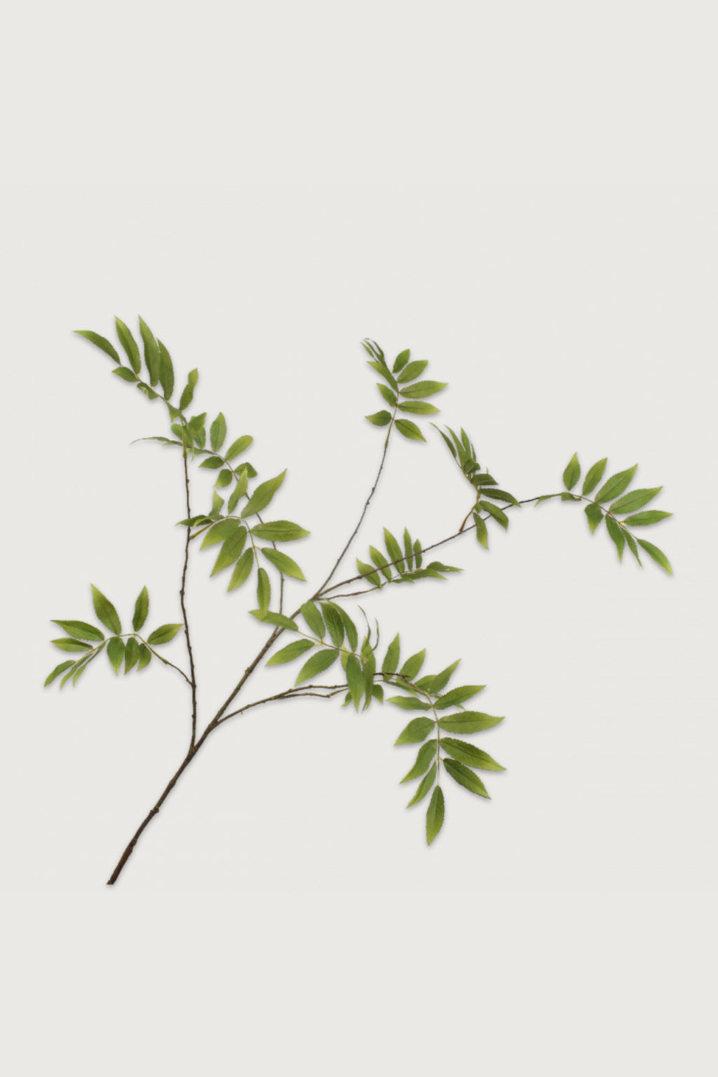 Decorative branches Silk-ka leave green Celaine